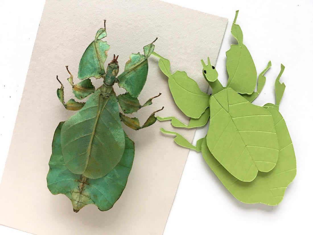 Leaf Insect Paper Sculpture