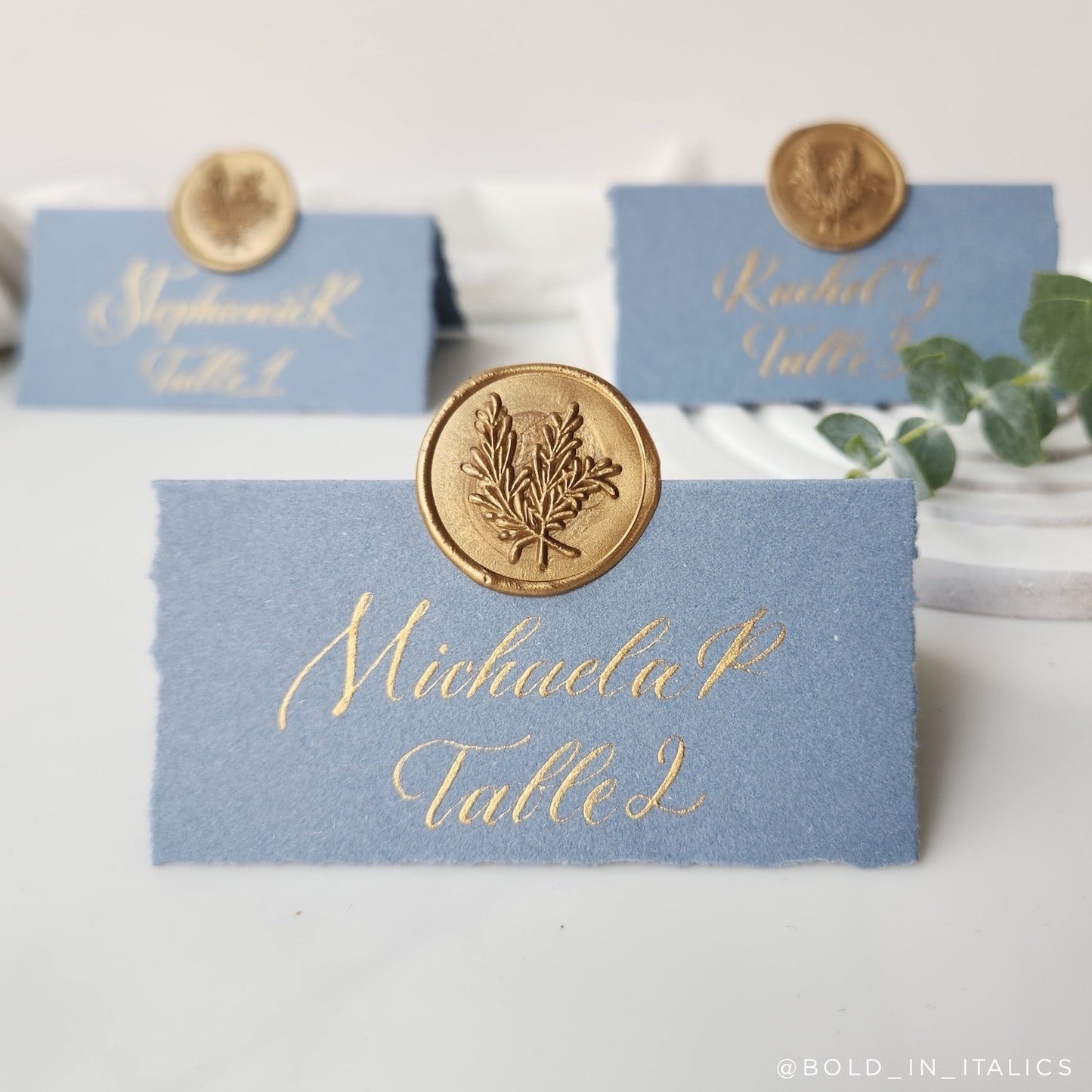 Bold In Italics Acqua Placecards