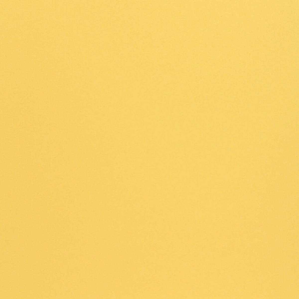 Giallo | Woodstock Cardstock Paper