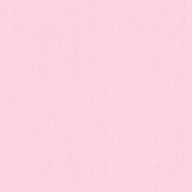 Candy Pink Colorplan Cardstock