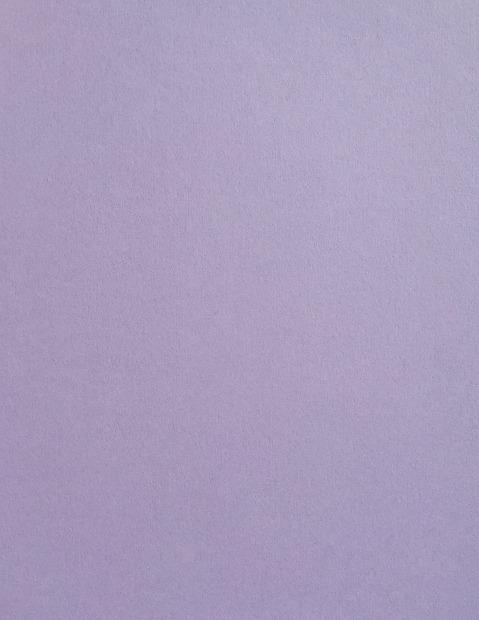 Colorplan Lavender Cardstock