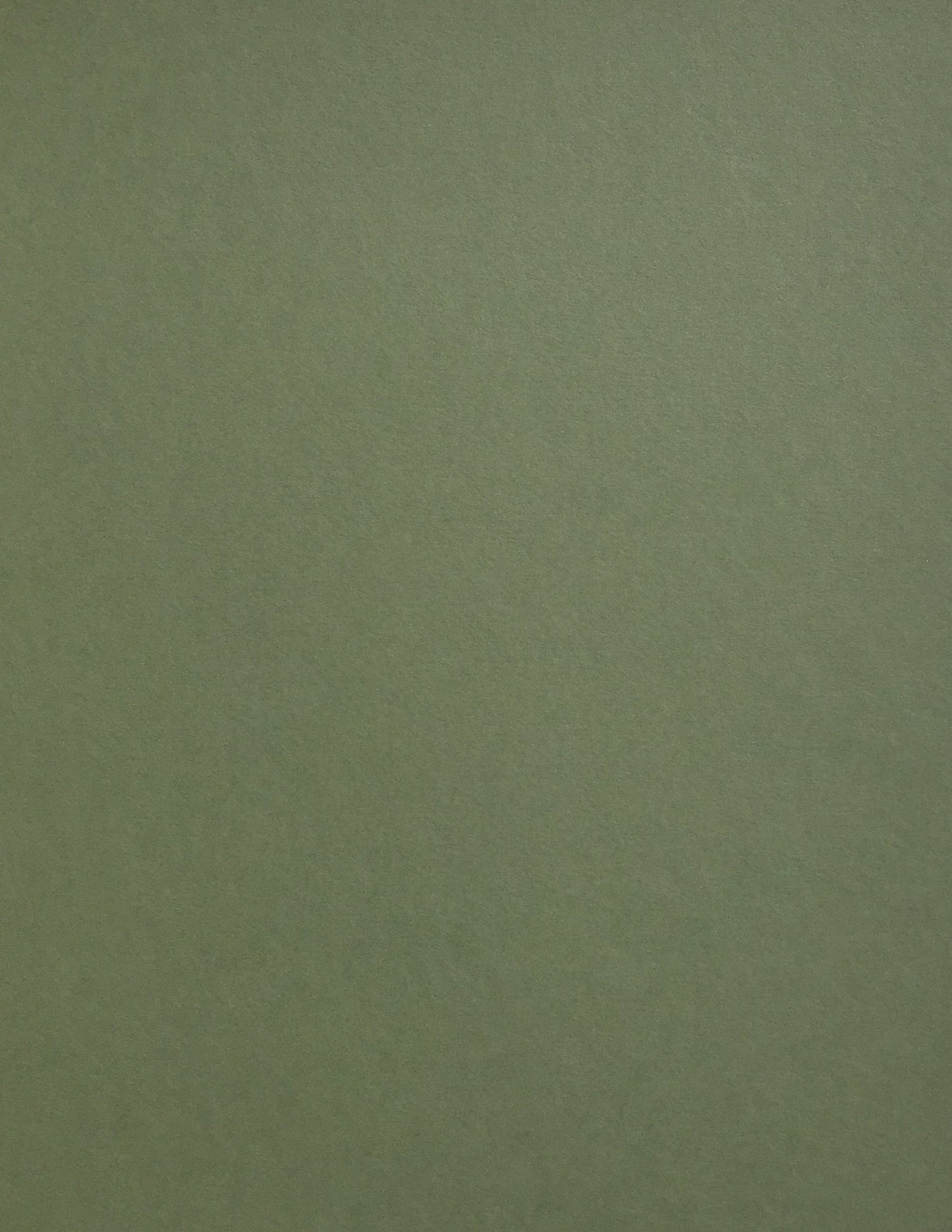 Colorplan Mid-Green Cardstock