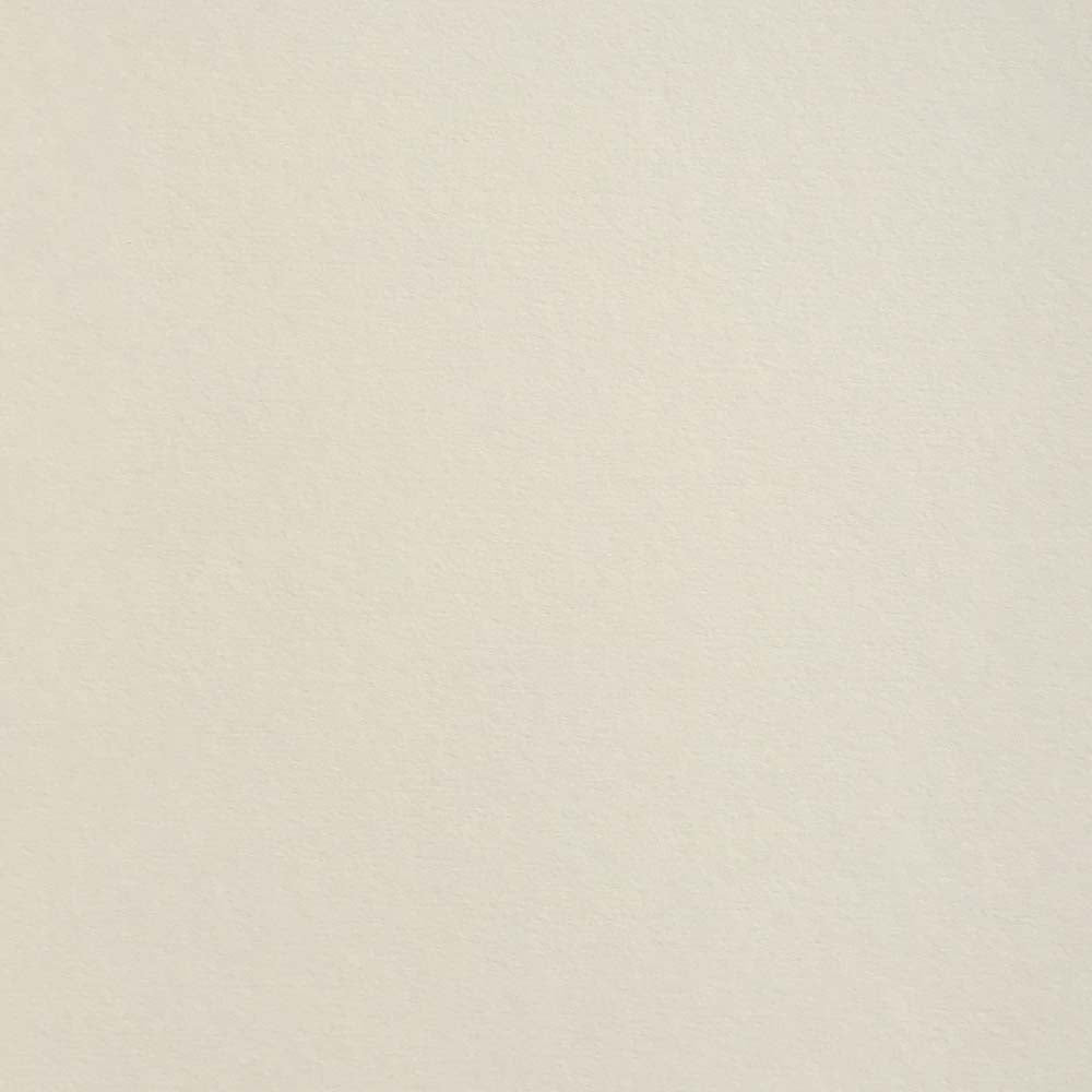 Mist Colorplan Cardstock