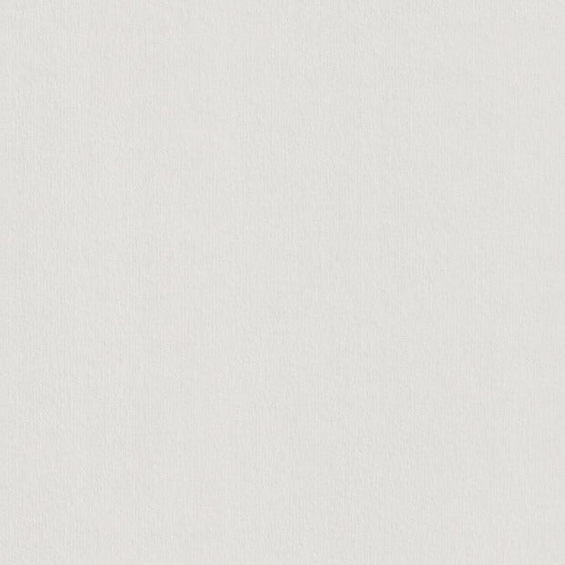 Pale Grey Colorplan Cardstock