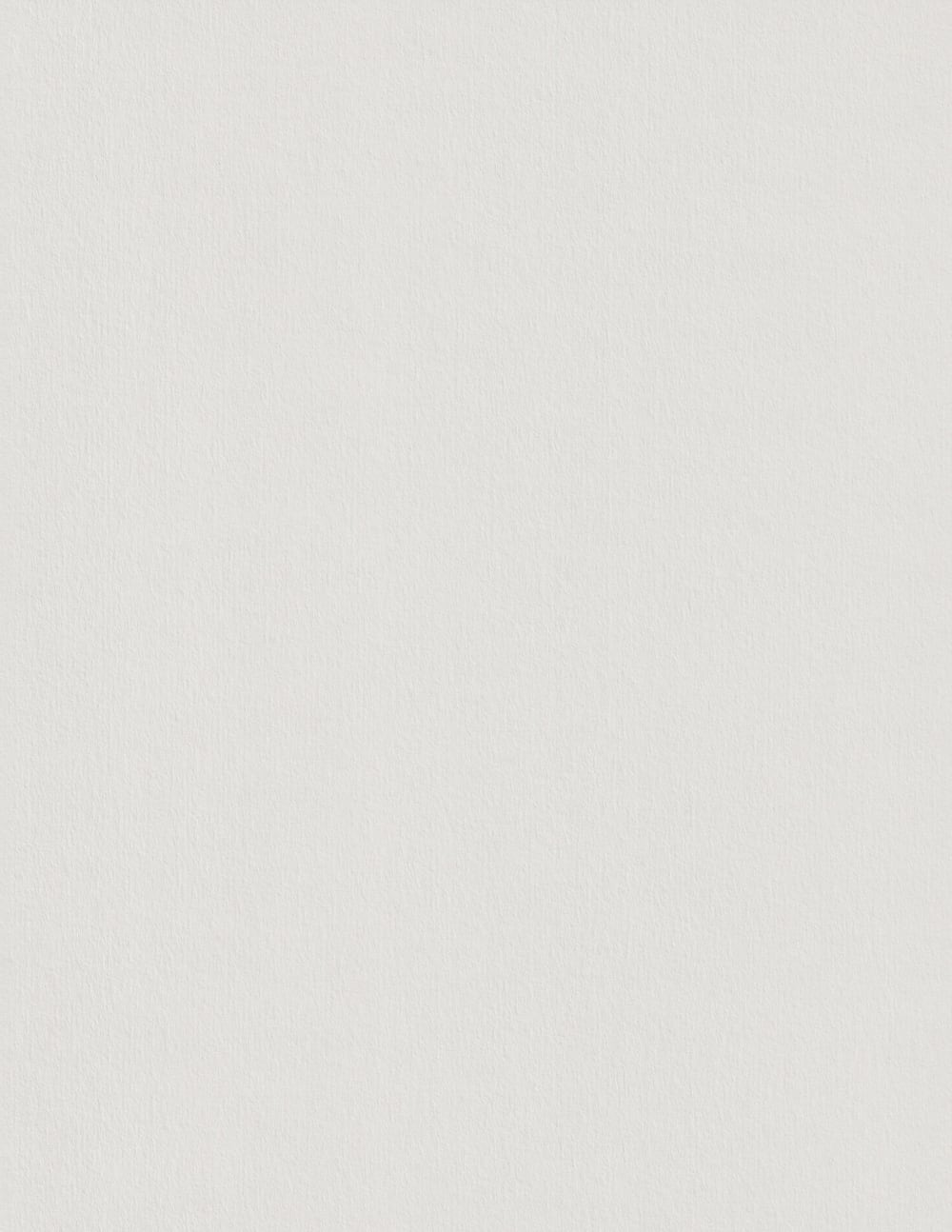 Pale Grey Colorplan Cardstock