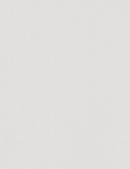 Pale Grey Colorplan Cardstock