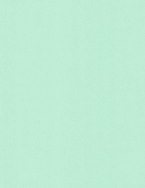 Park Green Colorplan Cardstock