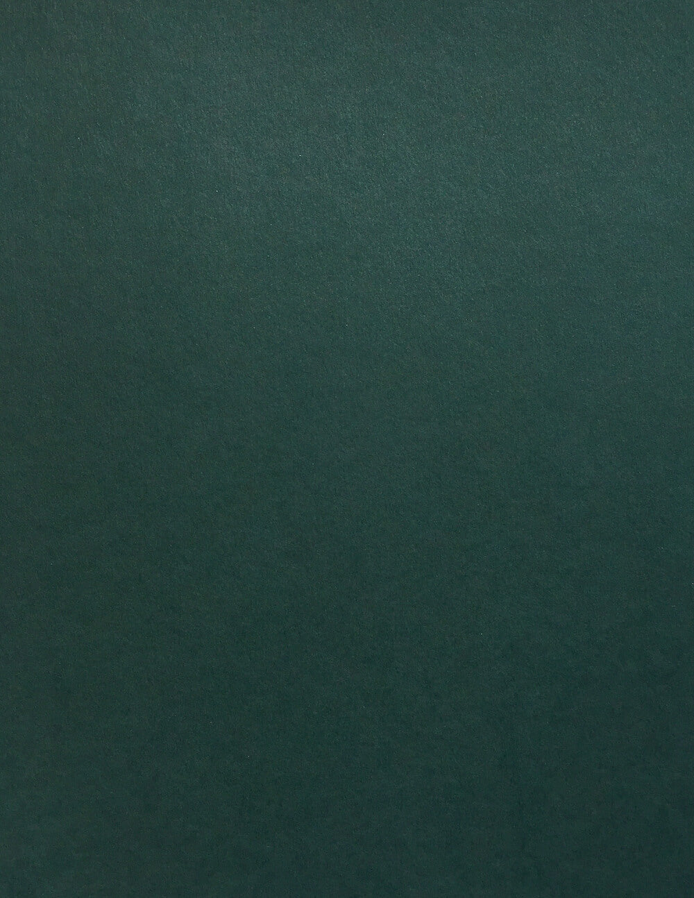 Colorplan Racing Green Cardstock