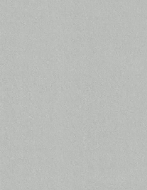 Colorplan Real Grey Cardstock