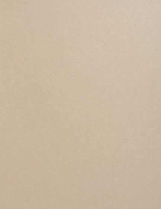 Stone Colorplan Cardstock