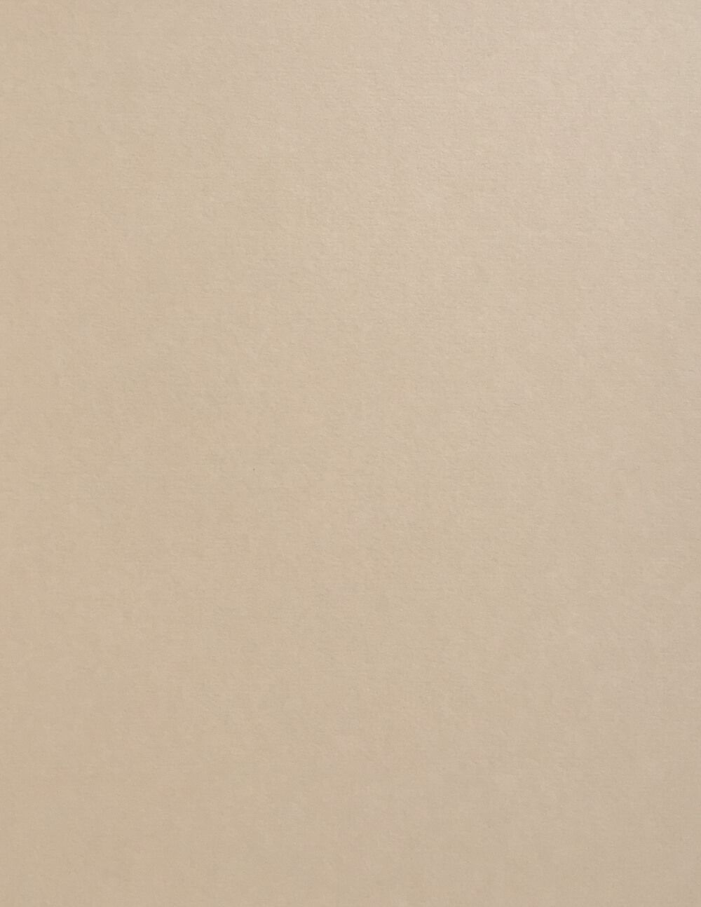 Stone Colorplan Cardstock