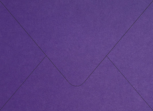 Purple Colorplan Euro Envelopes