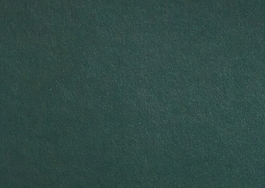 Colorplan Racing Green Flat Place Cards