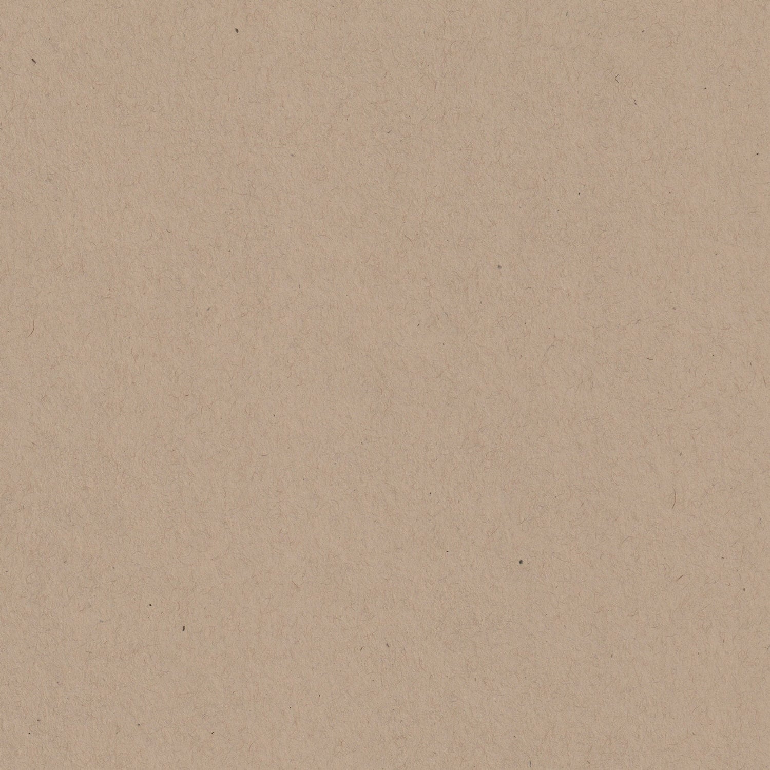 Kraft Speckletone 12x12