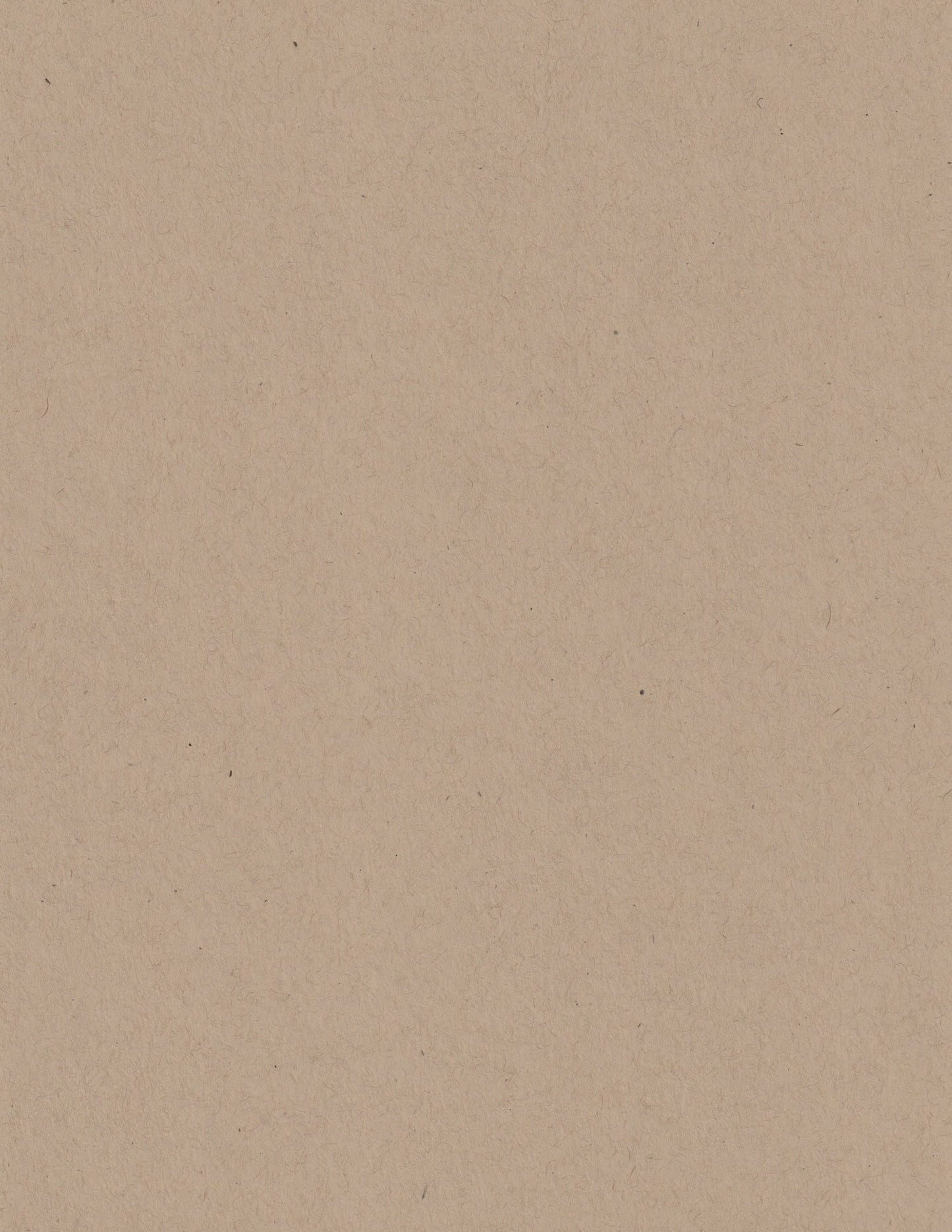 Kraft Speckletone 8.5x11