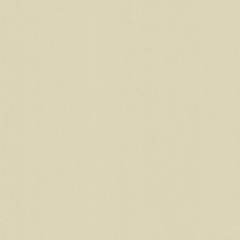 Comoscio Cream | Woodstock Cardstock Paper