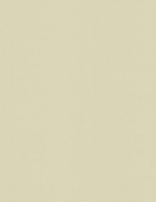 Comoscio Cream | Woodstock Cardstock Paper