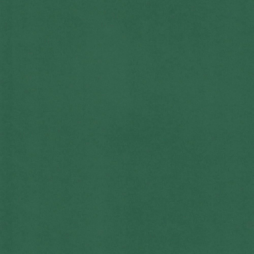 Foglia Sirio | Green Colored Cardstock Paper