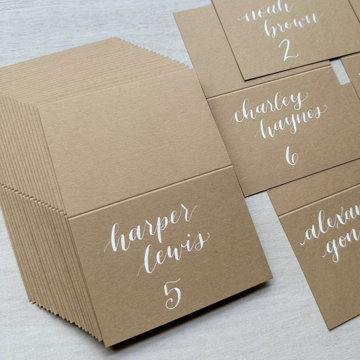 harvest colorplan calligraphy place cards