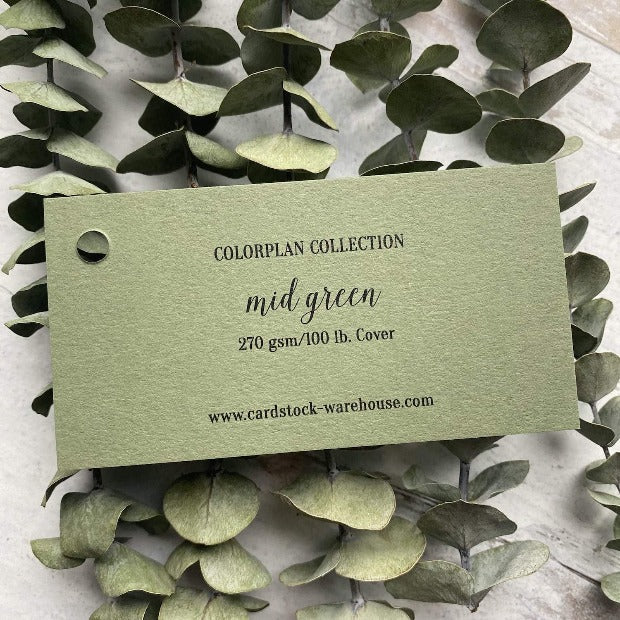 Mid Green Colorplan Cardstock