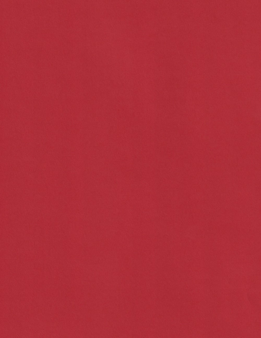 Red Rose-Cardstock Warehouse