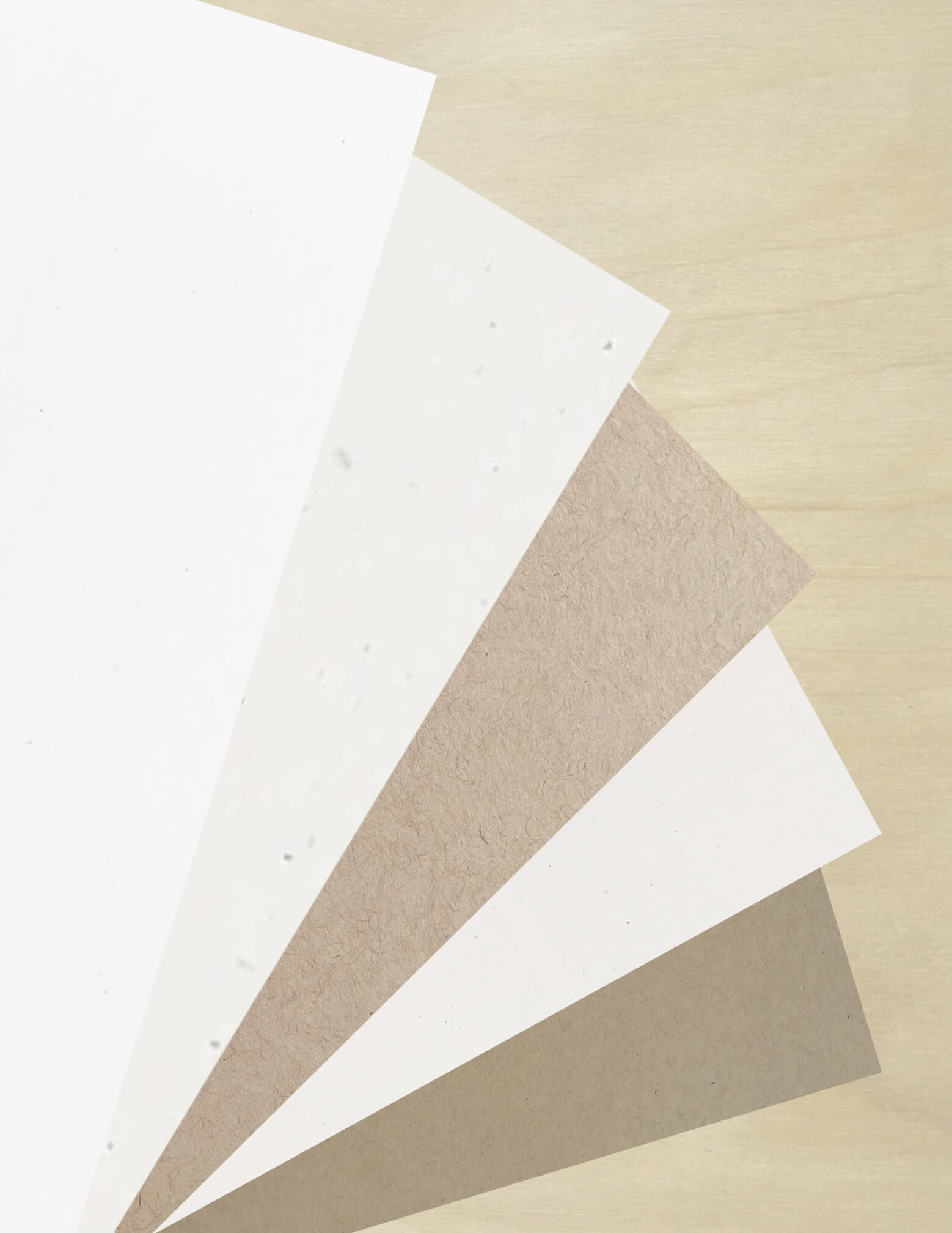 Speckletone Neutrals Multipack-Cardstock Warehouse