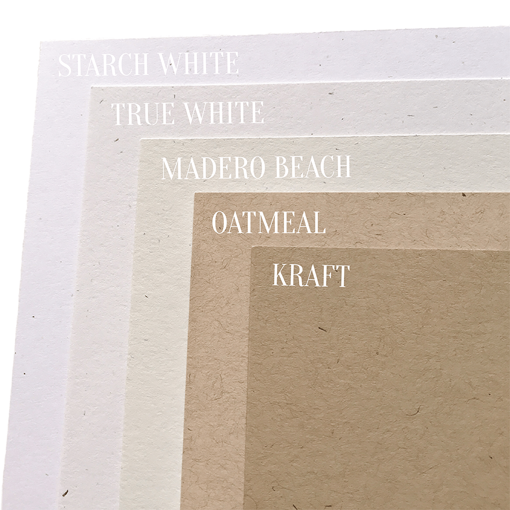 True White Speckletone Cardstock