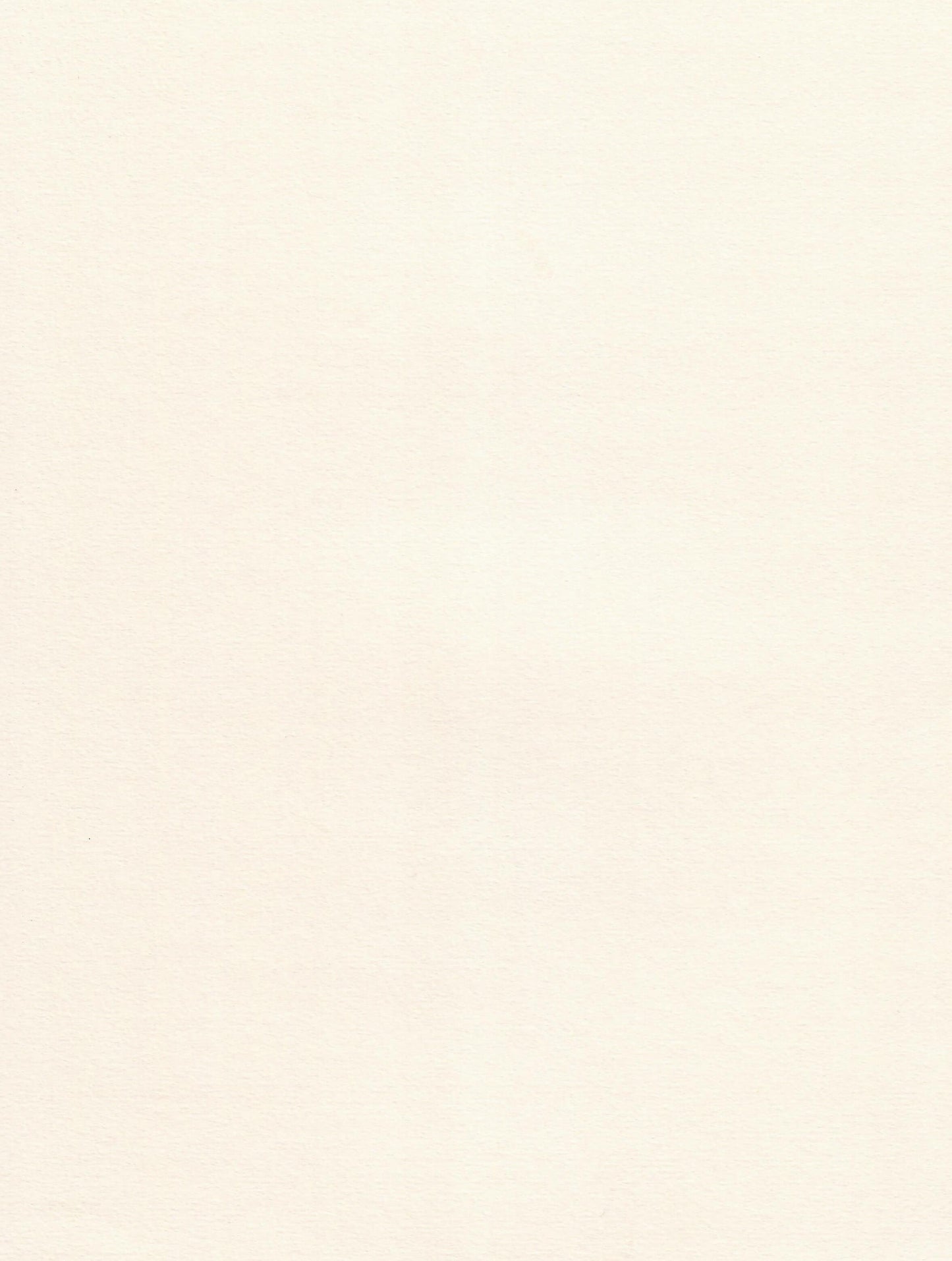 Colorplan Vellum White Cardstock